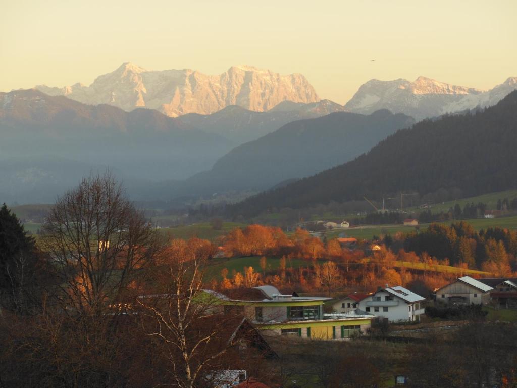 Parkhotel Tannenhof Oy-Mittelberg Exteriér fotografie